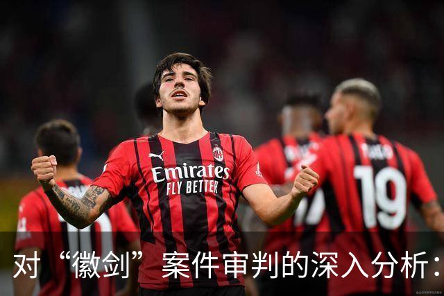 对“徽剑”案件审判的深入分析：法律与情感的辩证关系